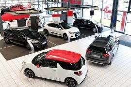 Imagen de la galería